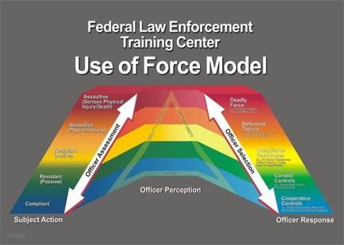 What Is Reasonable Force Police